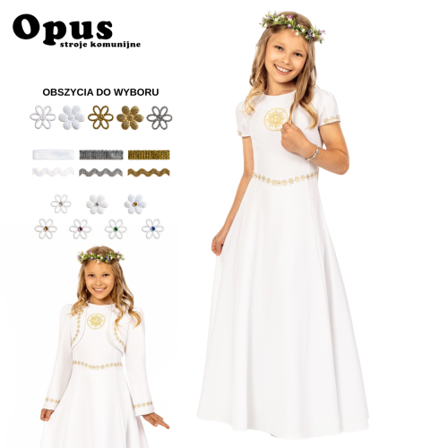 Pola (1).png